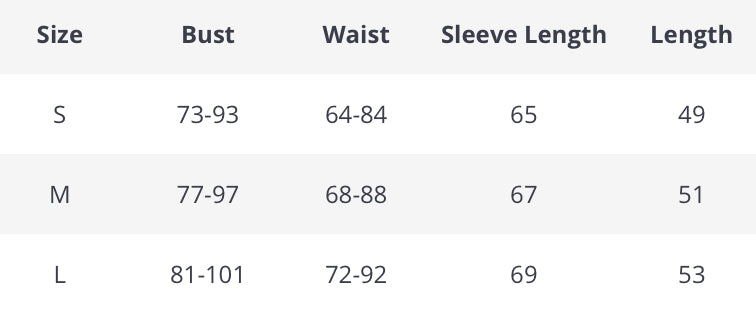 Lace Mesh Long Sleeve Top