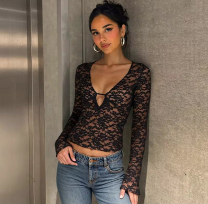 Mesh Lace V-Neck Long Sleeve Top