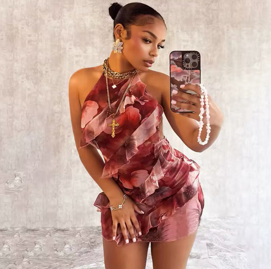 High Neck Backless Tie Up Floral Print Mesh Ruffle Mini Dress